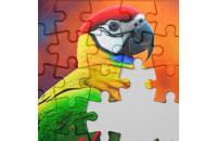 Play Jigsaw M now!